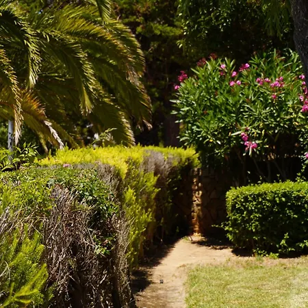 Clube Porto Mos - Sunplace & Lagos